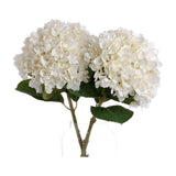 Oversized White Hydrangea