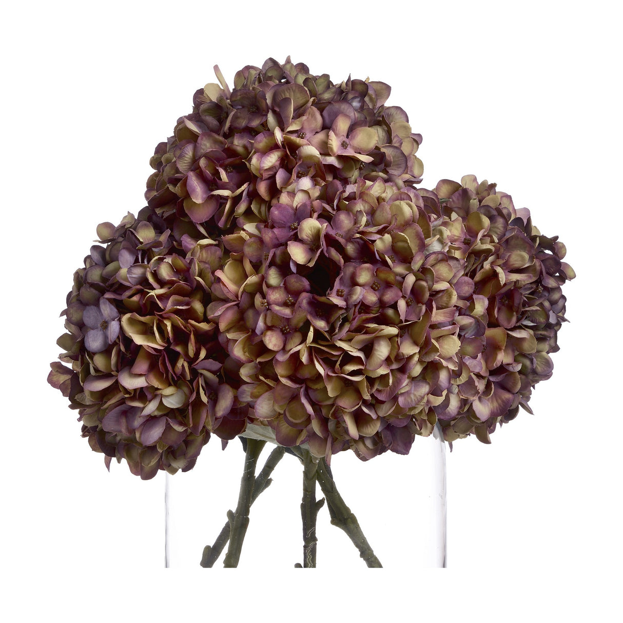 Autumn Burgundy Hydrangea
