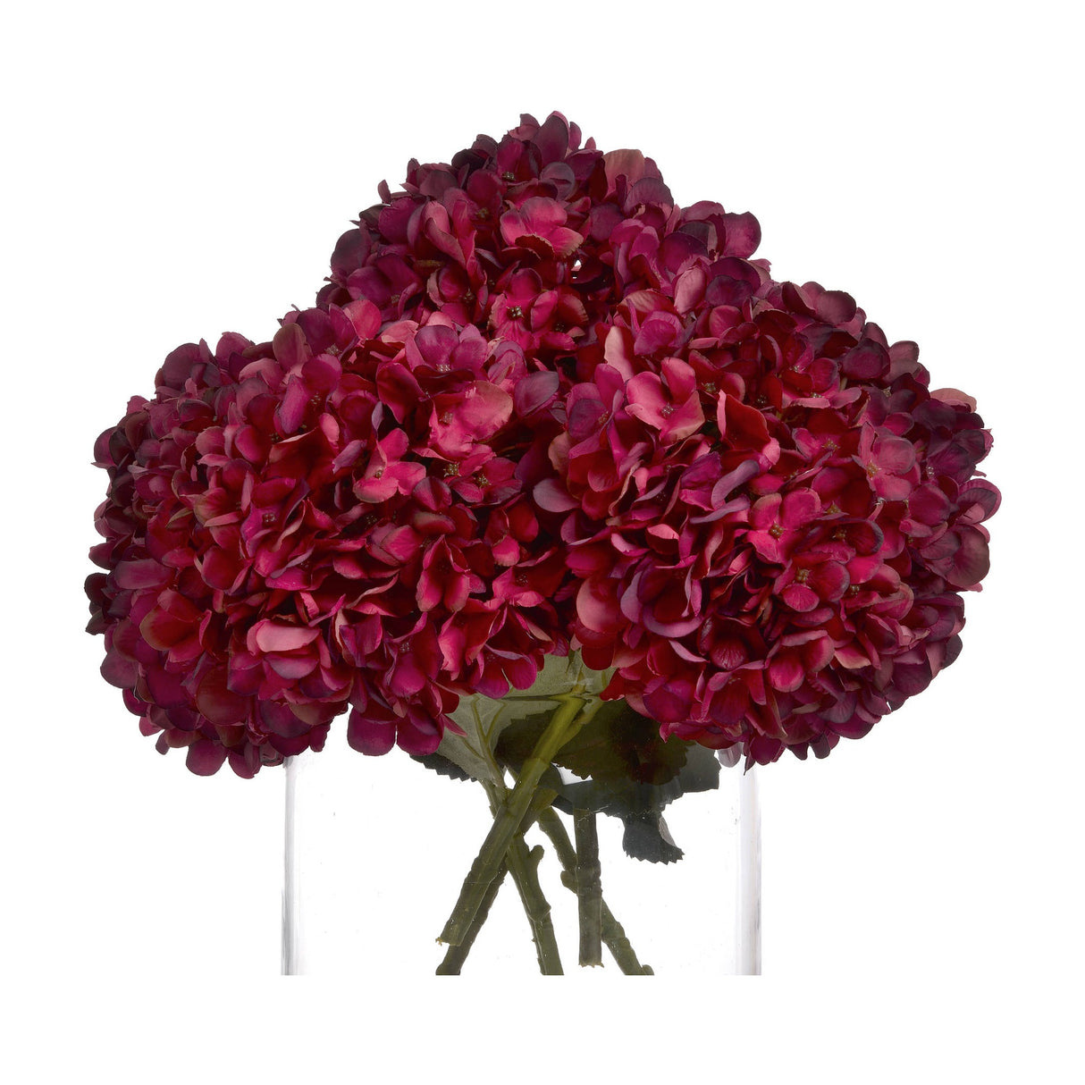 Autumn Ruby Hydrangea