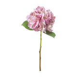Shabby Pink Single Hydrangea
