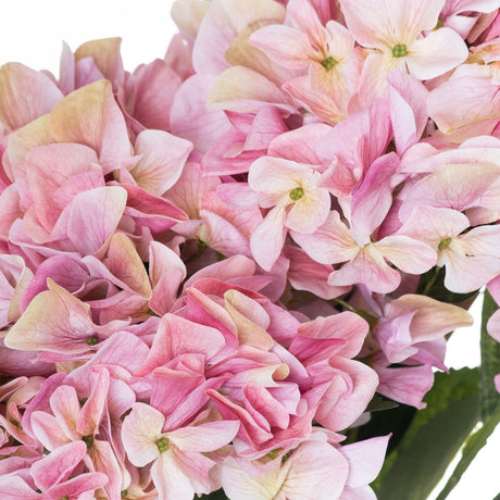 Close-up of Hill Interiors Shabby Pink Hydrangea Bouquet showing dense clusters of soft pink four-petalled florets with pale cream and green centres.