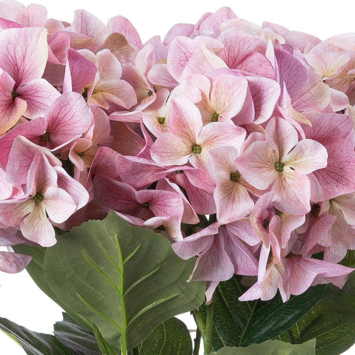 Hill Interiors Shabby Pink Hydrangea Bouquet shown in close-up with soft pink four-petalled florets and green leaves against a white background.