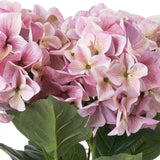 Hill Interiors Shabby Pink Hydrangea Bouquet shown in close-up with soft pink four-petalled florets and green leaves against a white background.