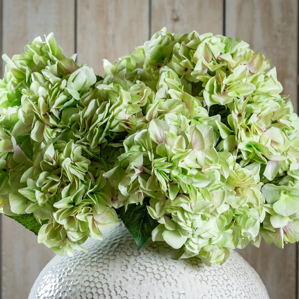 Hill Interiors Shabby Green Hydrangea Bouquet with full green faux blooms and pink-tinged petals displayed in a textured cream vase against wood panelling.