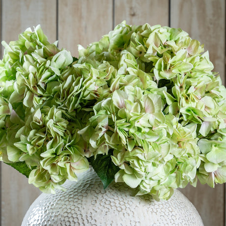 Hill Interiors Shabby Green Hydrangea Bouquet with full green faux blooms and pink-tinged petals displayed in a textured cream vase against wood panelling.
