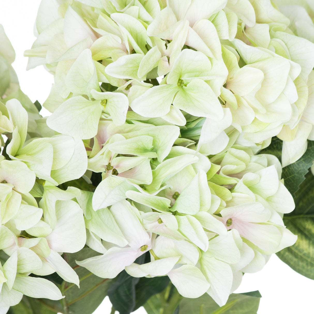 Close-up of the Hill Interiors Shabby Green Hydrangea Bouquet showing dense four-petal florets in soft green and cream tones with green leaves.