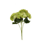 Hill Interiors Green Hydrangea Bunch, a faux plant with layered green florets forming rounded domed heads on bendable stems with dark leaves, on white.