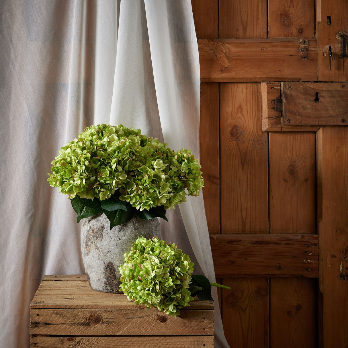 Hill Interiors green hydrangea bunch in a weathered stone pot on a wooden crate, with a second stem beside it against linen drapes and a rustic wood door.