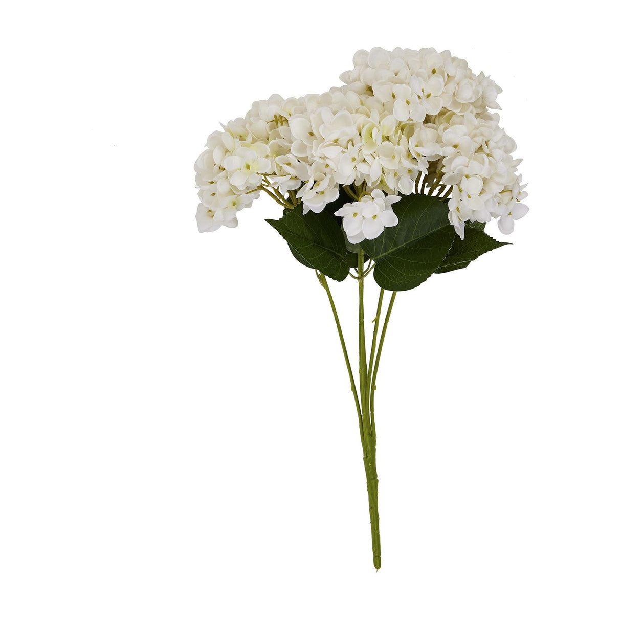 White Hydrangea Bunch