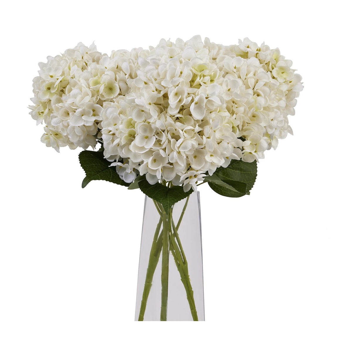 White Hydrangea Bunch