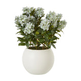 Hill Interiors large faux green hydrangea plant with rounded mophead blooms and green foliage set in a round white pot on a plain background.