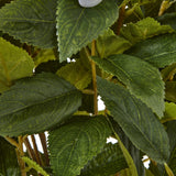 Close-up of Hill Interiors Large Green Hydrangea Plant showing layered serrated leaves with fine veining on slender stems in soft green tones.