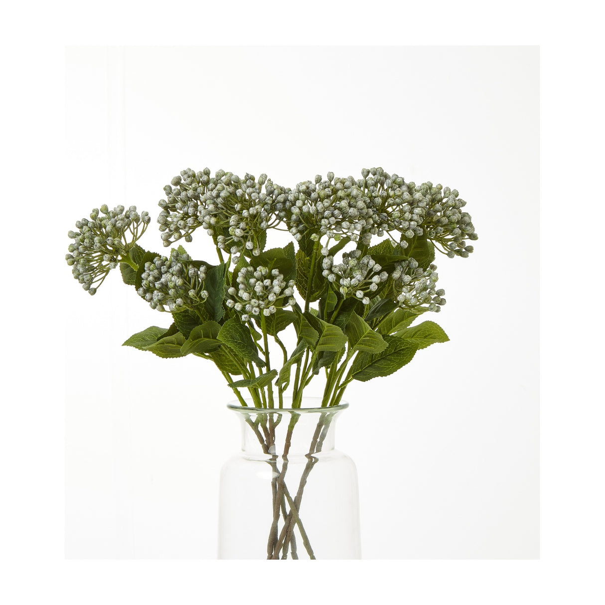 Hill Interiors Blue Budding Hydrangea Spray with clustered pale blue buds and green leaves arranged in a clear glass vase against a white background.