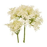 Cream Crown Hydrangea Stem