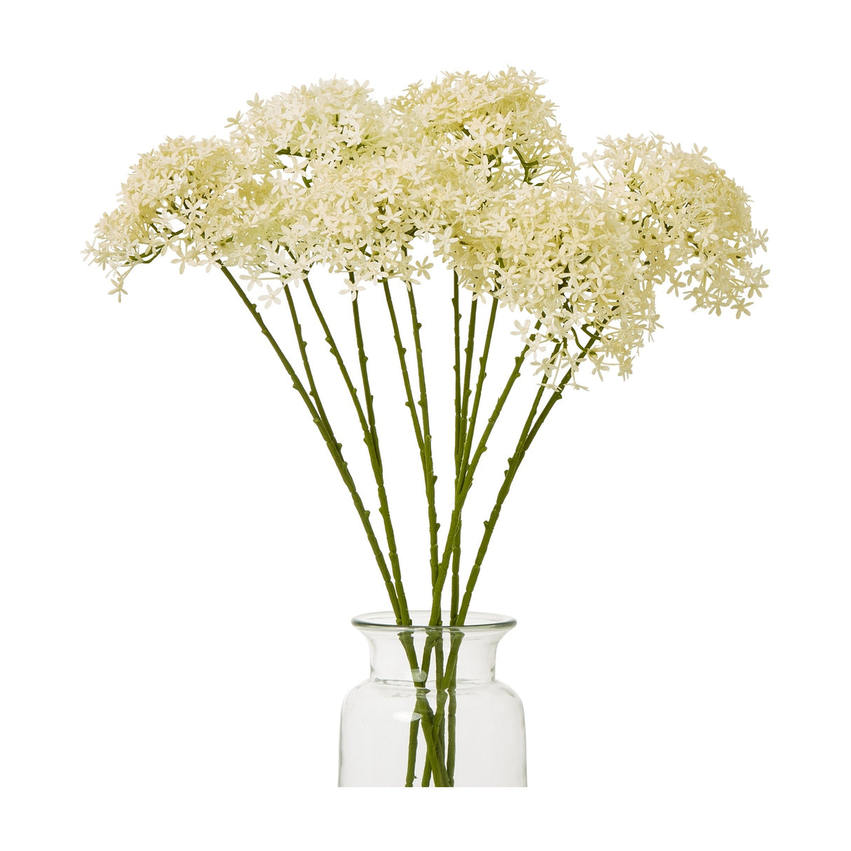 Cream Crown Hydrangea Stem