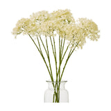 Cream Crown Hydrangea Stem