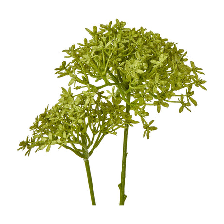 Green Crown Hydrangea Stem