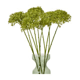Green Crown Hydrangea Stem
