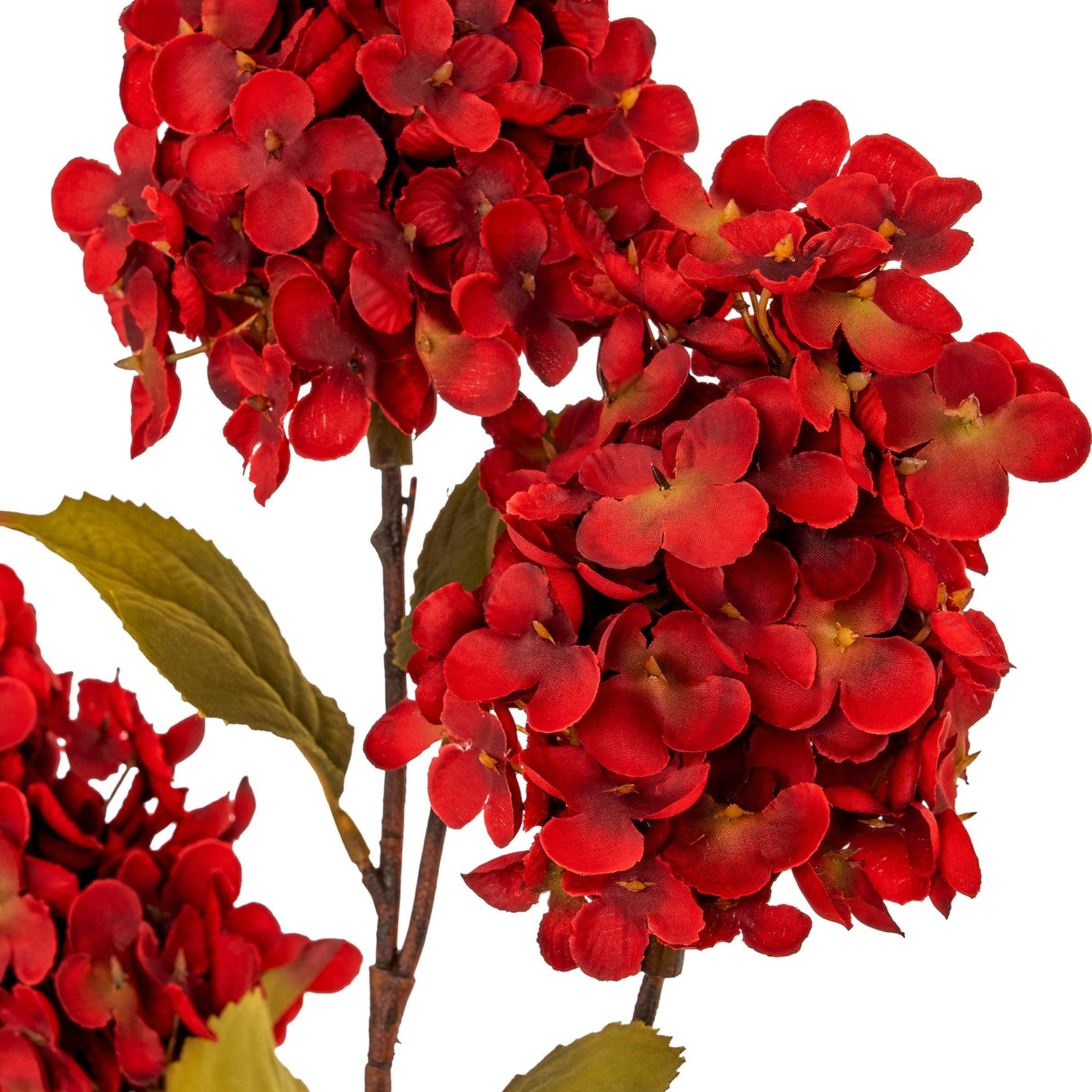 Dark Red Spear Hydrangea Spray
