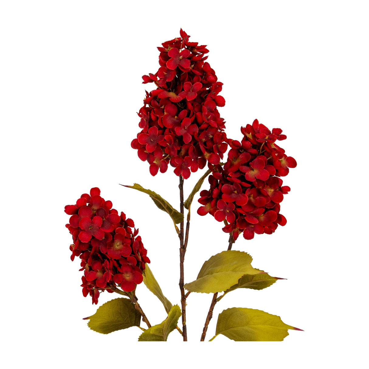 Dark Red Spear Hydrangea Spray
