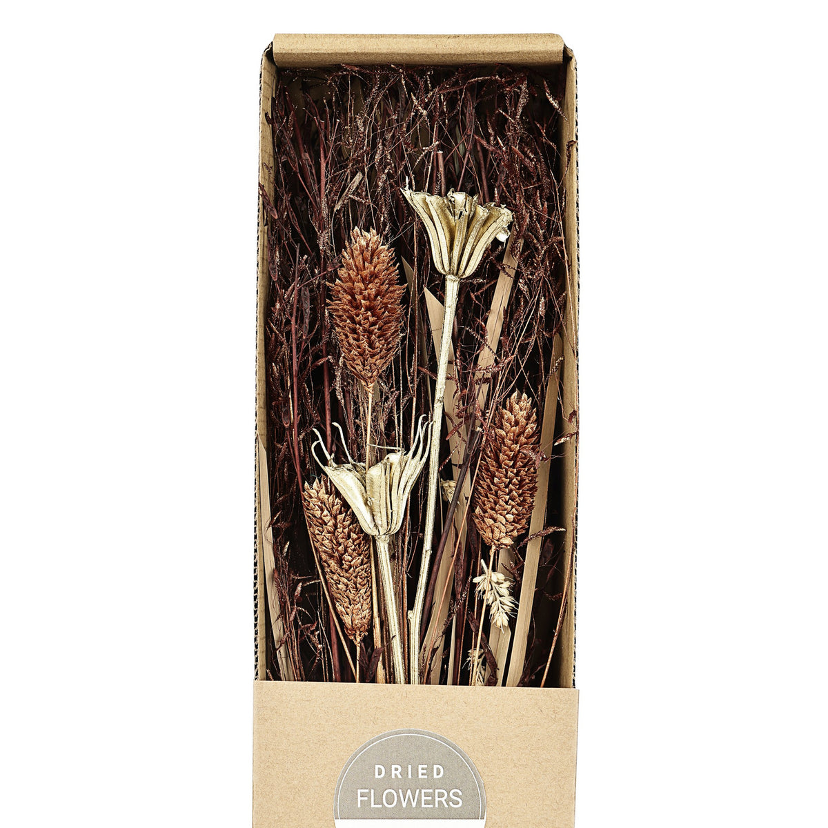 Ignace Dried Flowers 428055
