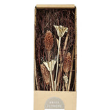 Ignace Dried Flowers 428055