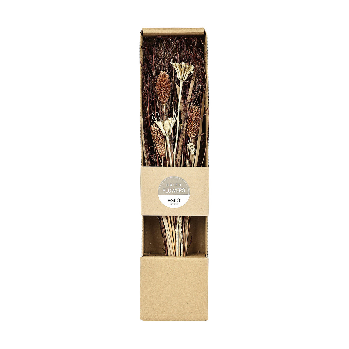 Ignace Dried Flowers 428055