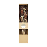 Ignace Dried Flowers 428055