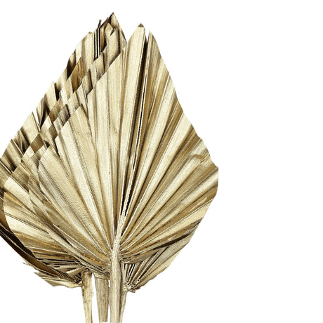 Ignace Dried Flowers in Gold, a pleated palm leaf spear shape on a slim stem with fine fanning folds, shown against a plain white background.