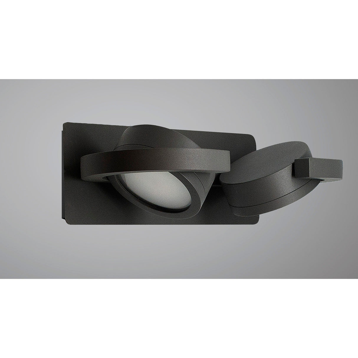 Iguazu 2 Light Outdoor Wall Light - Anthracite