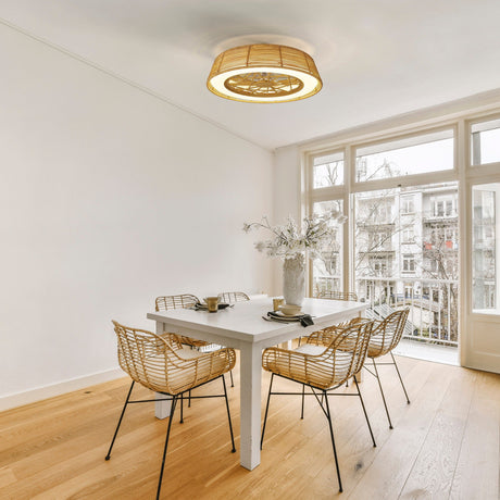 Indonesia CCT Dimmable LED Ceiling Retractable Fan Light - Brown