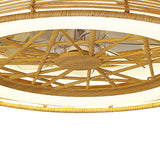 Indonesia CCT Dimmable LED Ceiling Retractable Fan Light - Brown