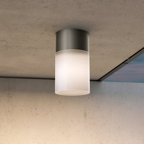 The Willis Outdoor Downlight - Black features a sleek, cylindrical design with a frosted glass shade, mounted on a textured cream ceiling. Made from durable metal, it evenly diffuses light for a warm ambiance, ideal for exterior areas such as patios or covered verandas.