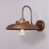 Islura Brass Swan Neck Wall Light IP65
