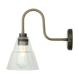 Isvana Glass Swan Neck Wall Light IP65