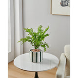 Jinjiti Ceramic Plant Pot 12cm - White & Green