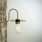 Kai Brass Swan Neck Wall Light IP65