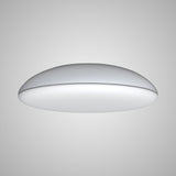 Kazz 6 Light Flush Ceiling Light - White