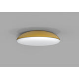 Kazz 6 Light Flush Ceiling Light - Gold