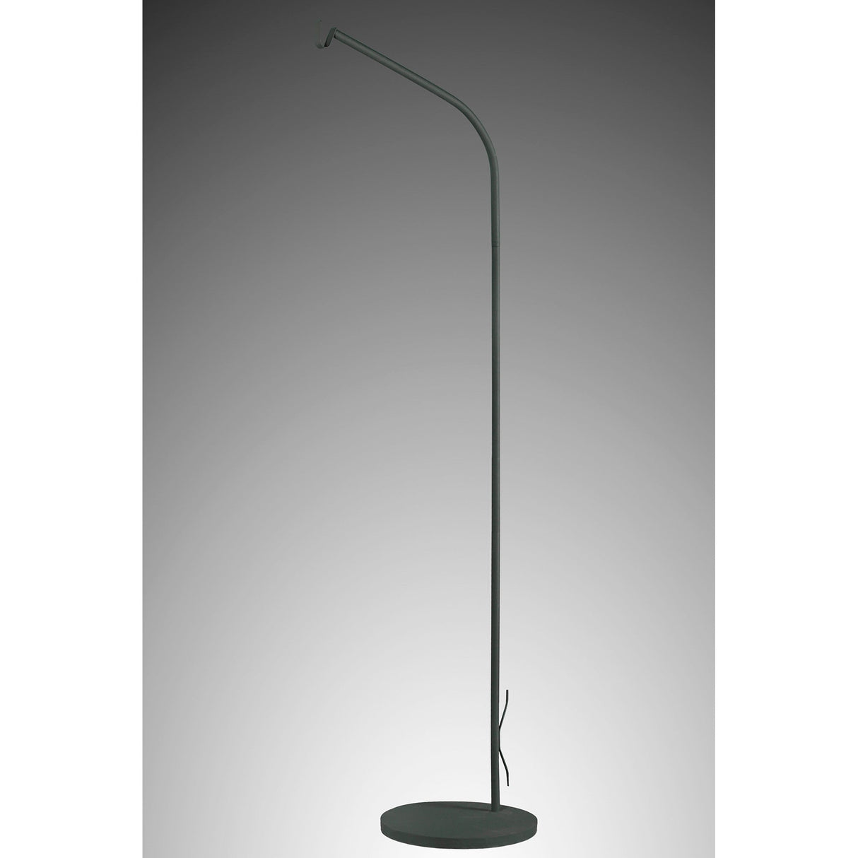 The Kinke Floor Lamp With Hook - Anthracite is a tall, slender floor lamp featuring a curved neck and circular base, shown against a gradient gray background.