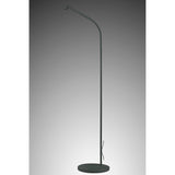The Kinke Floor Lamp With Hook - Anthracite is a tall, slender floor lamp featuring a curved neck and circular base, shown against a gradient gray background.