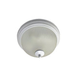 Fia 2 Light Flush Ceiling Light - White