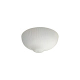 Fia 2 Light Flush Ceiling Light - White