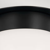 Albers 1 Light Opal Glass Globe Flush - Black