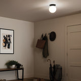 Albers 1 Light Opal Glass Globe Flush - Black