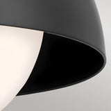 Niva 1 Light Convertible Wall Light & Pendant - Black