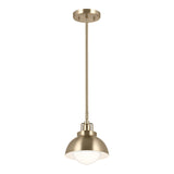 Niva 1 Light Convertible Wall Light & Pendant - Champagne
