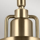 Niva 1 Light Convertible Wall Light & Pendant - Champagne