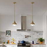 Niva 1 Light Convertible Wall Light & Pendant - Champagne