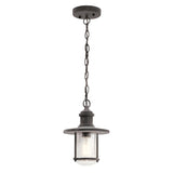 The Riverwood Outdoor 1 Light Chain Pendant in Weathered Zinc showcases a vintage-style hanging light with an industrial charm. Featuring a black metal fixture and glass shade, this nautical pendant is suspended from a chain, making it an ideal addition to any setting.